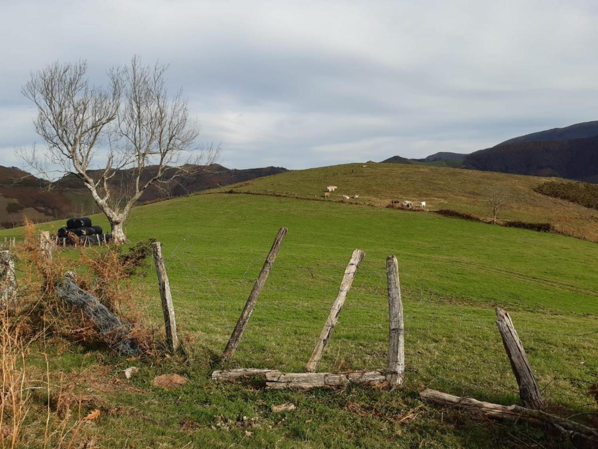 Apartamento Baztán Elizondo Esterno foto